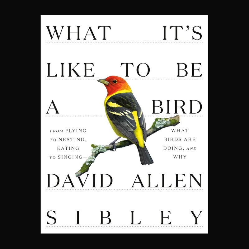 What It’s Like to Be a Bird by David Allen Sibley