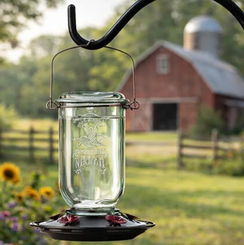 More Birds Mason Jar Hummingbird Feeder