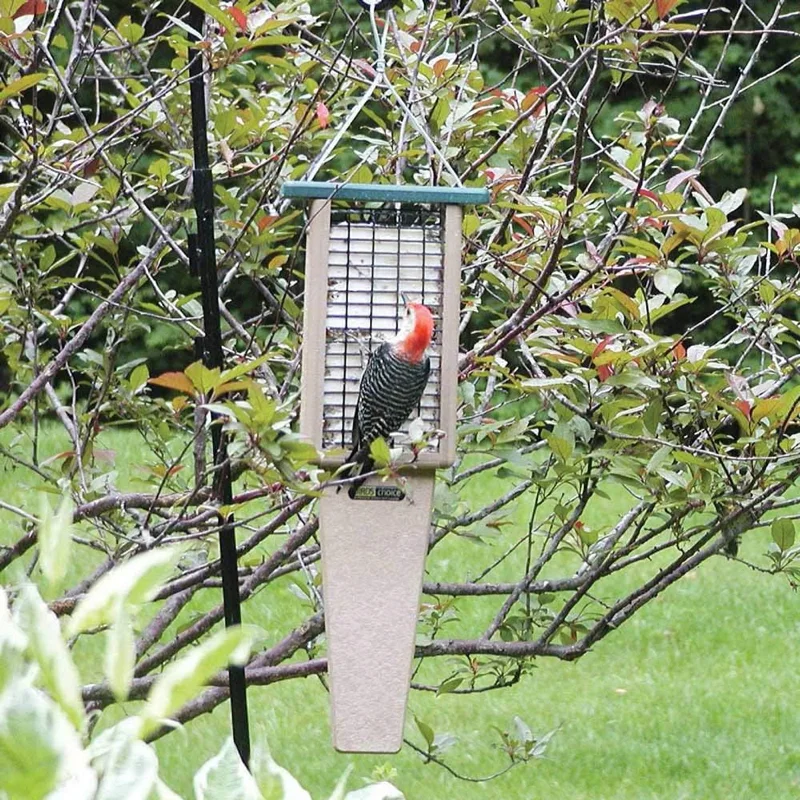 Birds Choice Pileated Suet Feeder