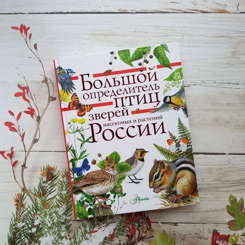Большой определитель птиц, зверей, насекомых и растений