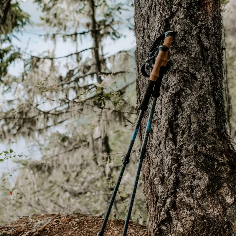 Cascade Mountain Tech Carbon Fiber Trekking Poles