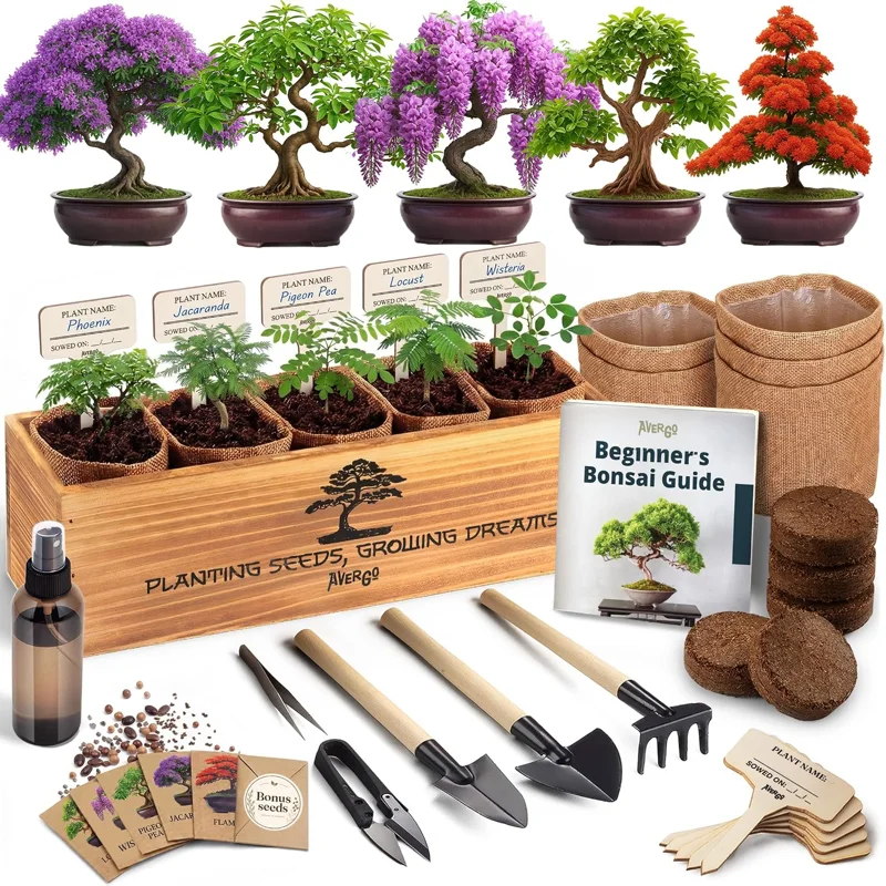 Avergo Bonsai Tree Kit