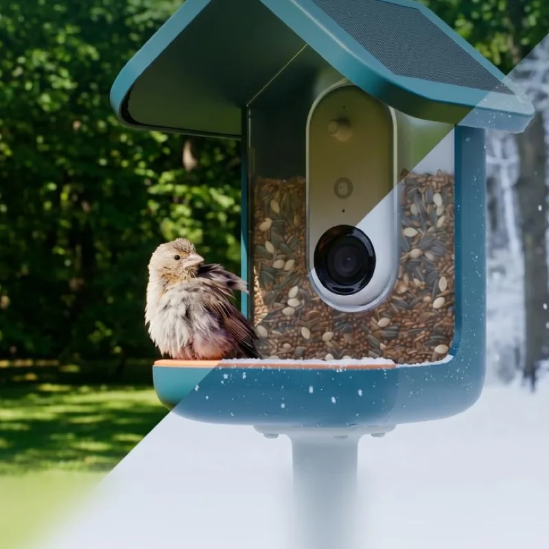 Birdbuddy Pro Solar Smart Bird Feeder