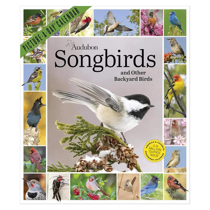 Audubon Songbirds Picture-A-Day Calendar