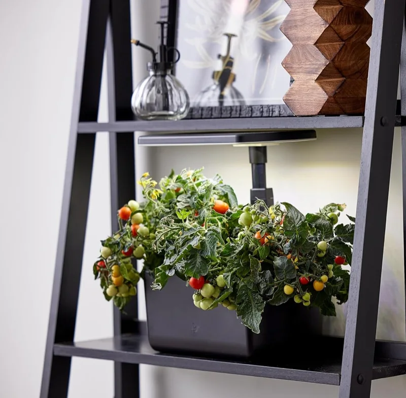 AeroGarden Harvest Lite Indoor Garden
