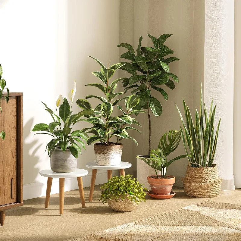 Gifts for Plant Lovers: 15 Ideas (2026)
