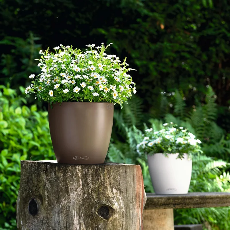 Lechuza Classico Color 21 Self-Watering Planter