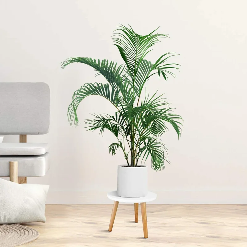 Uneedem Mid-Century Wood Plant Stand
