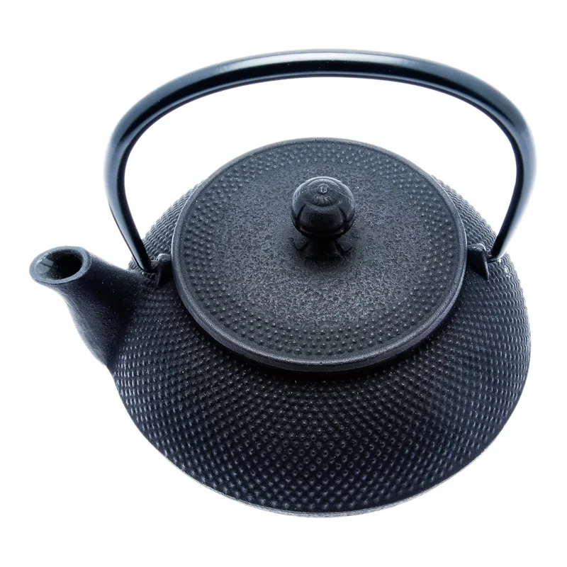 Iwachu Cast Iron Tetsubin Teapot